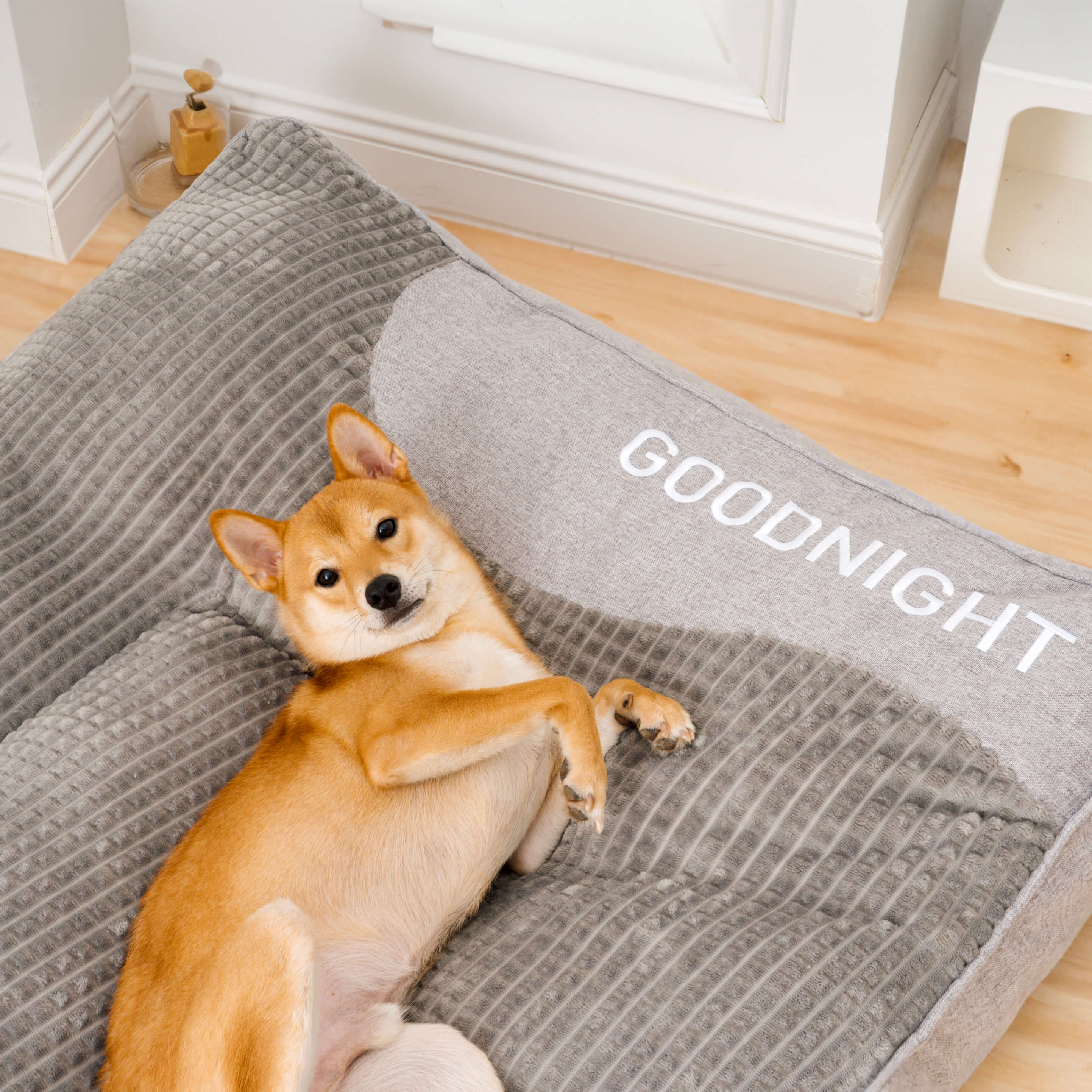 Large Garden Outdoor Dog Bed Scratch-resistant Spine Protection