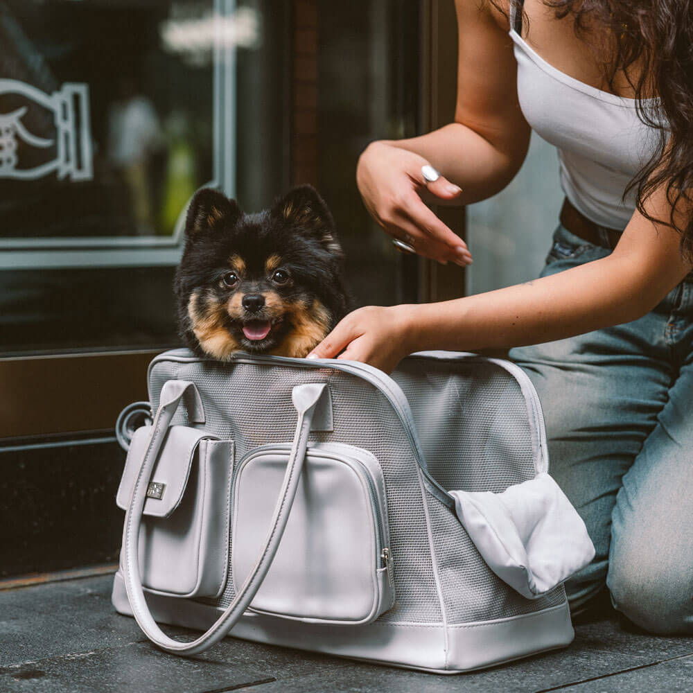Lightweight Breathable Mesh Safe Pet Carrier - Urban Ease