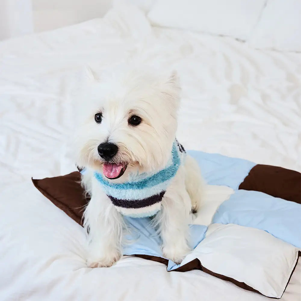 Macaron Color Water-Repellent Multi-Purpose Cat & Dog Mat
