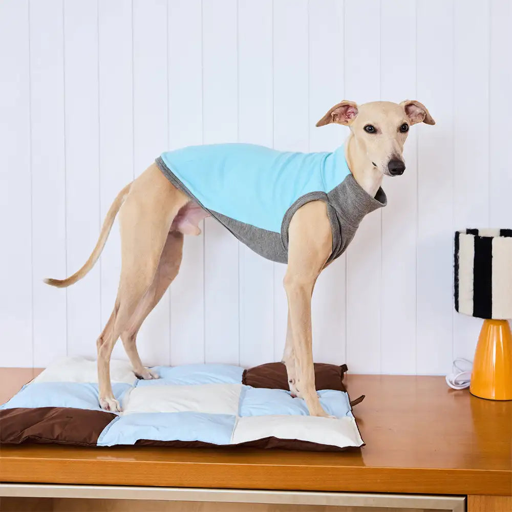 Macaron Color Water-Repellent Multi-Purpose Cat & Dog Mat