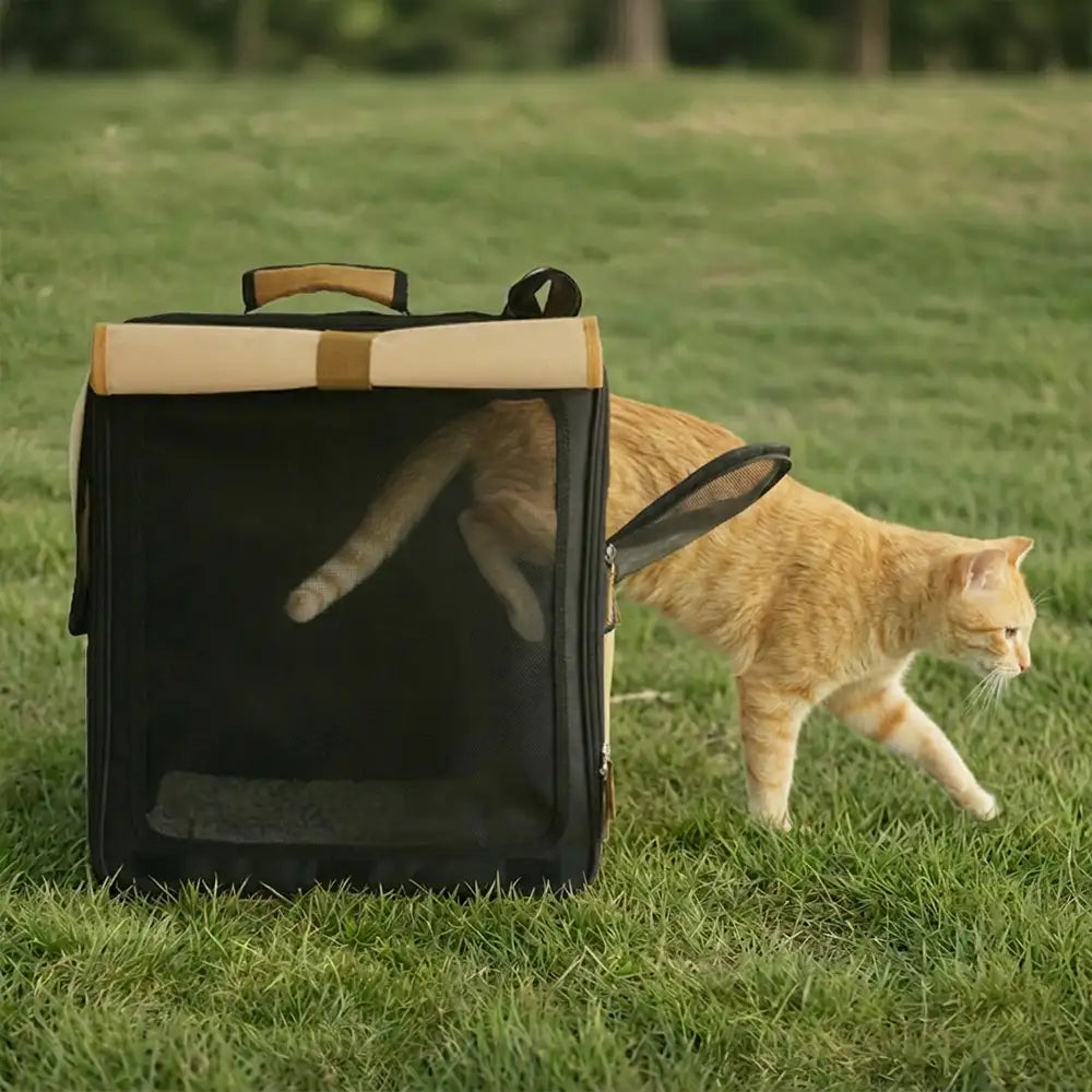 Multi-Purpose Breathable Roll-Up Pet Carrier Cat Backpack