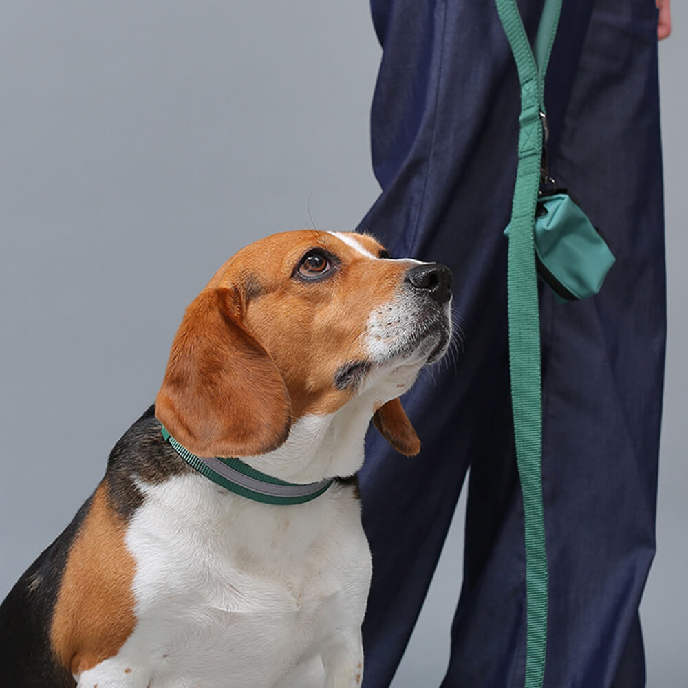 Nylon Adjustable Reflective No-Pull Dog Harness Collar and Lead