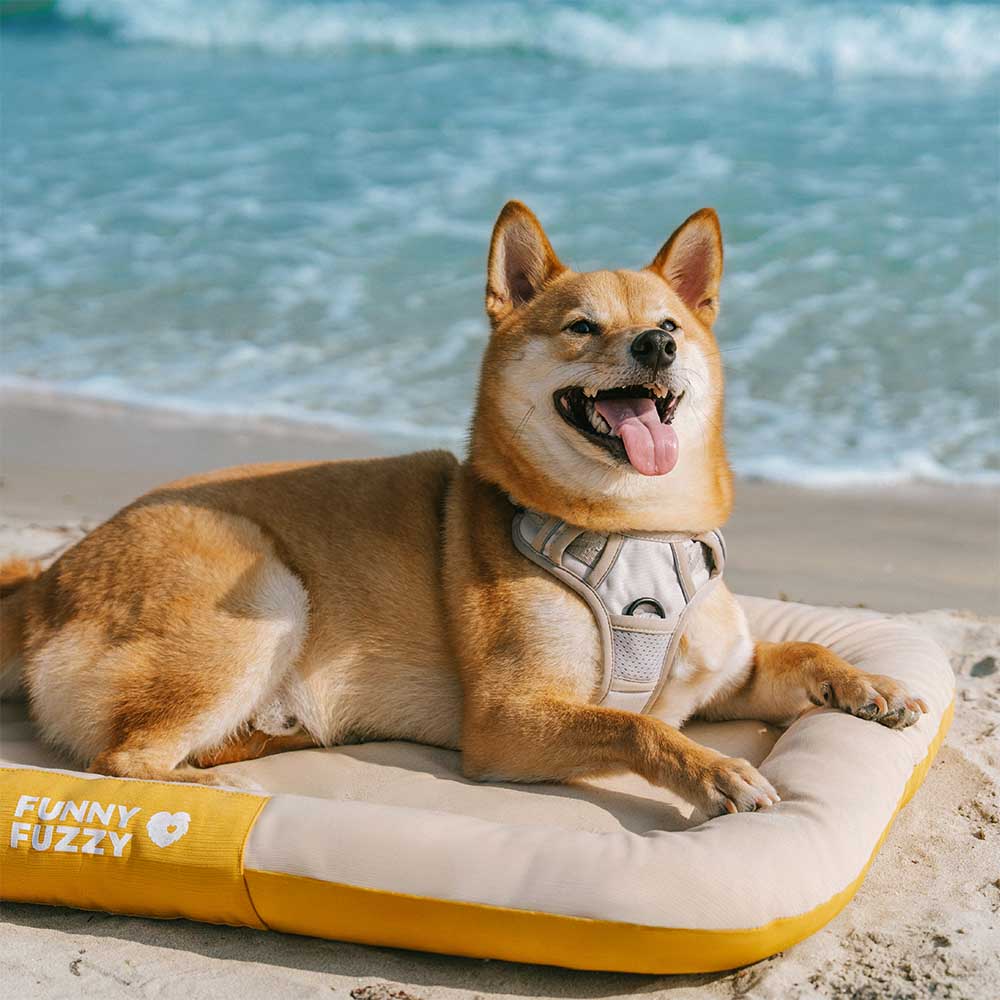 Outdoor Waterproof & Scratch-Resistant Colour-blocked Orthopaedic Dog Mat - Trek Lounge