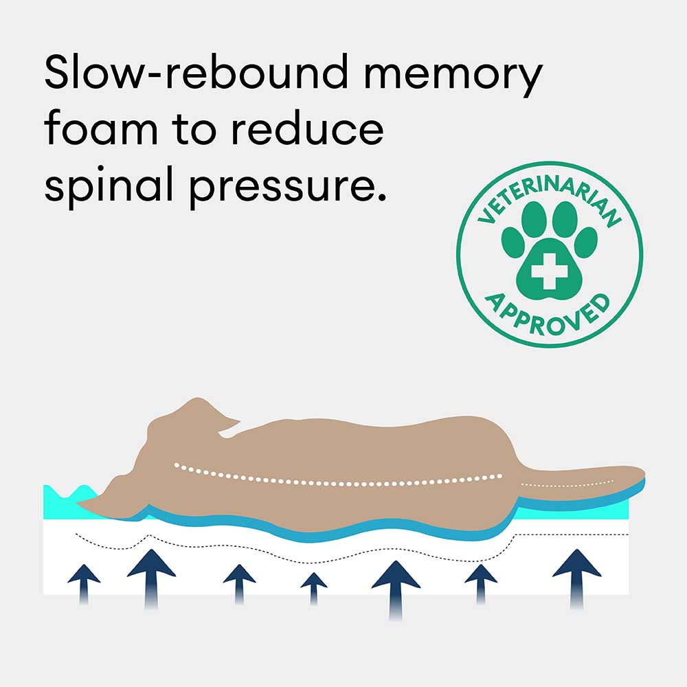 Outdoor Waterproof & Scratch-Resistant Colour-blocked Orthopaedic Dog Mat - Trek Lounge