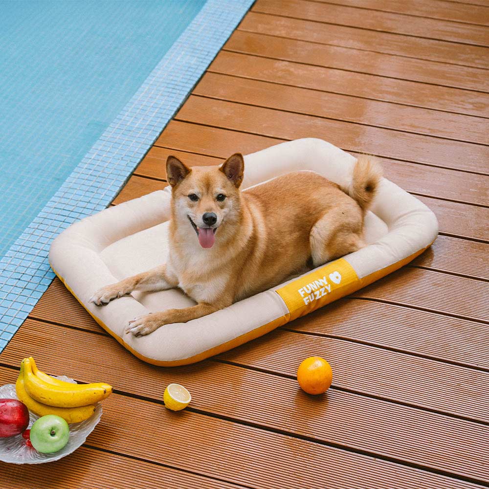 Waterproof & Chew-proof Memory Foam Orthopedic Dog Mat for Crate