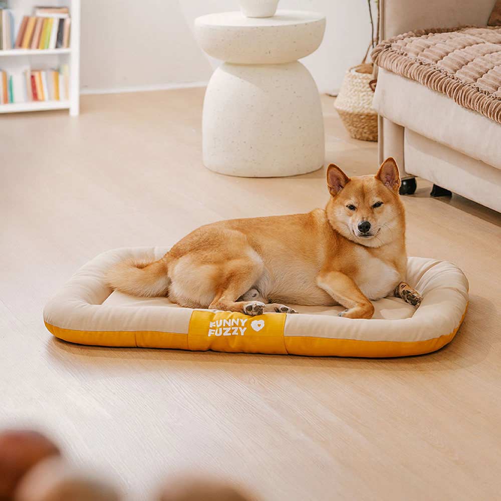 Waterproof & Chew-proof Memory Foam Orthopedic Dog Mat for Crate