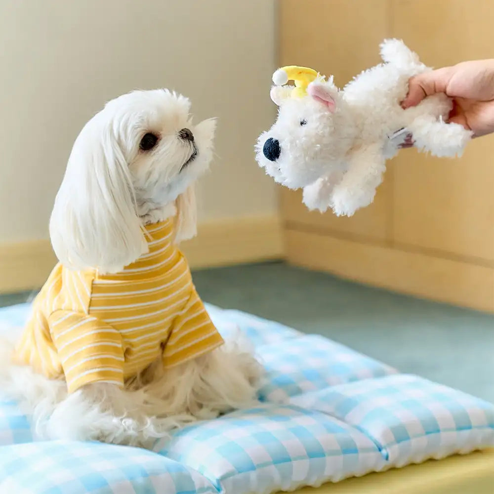 Play And Rest All-In-One Double-Layer Comfortable Washable Dog Bed - Pet Exclusive