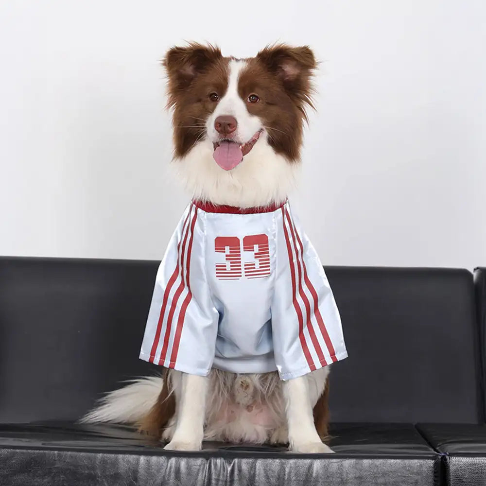 Striped Retro Reflective Dog T-Shirt for All Breeds