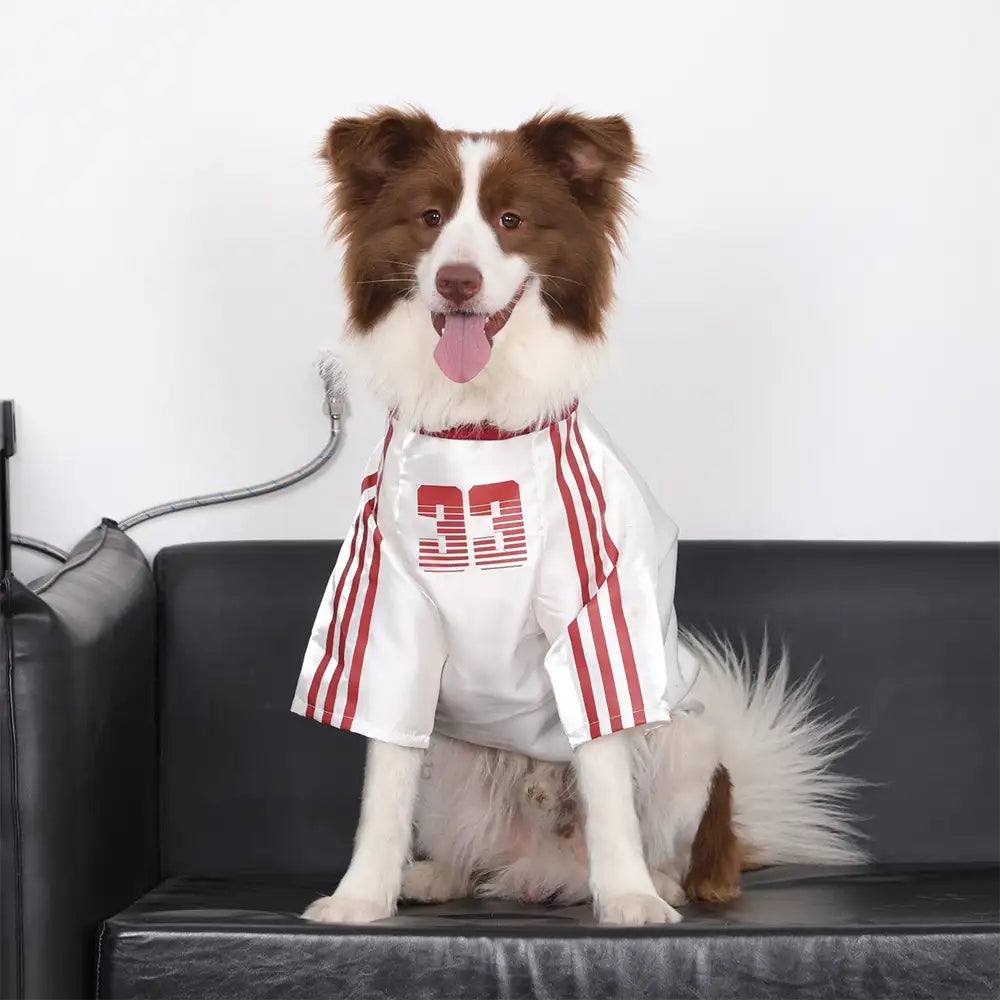 Striped Retro Reflective Dog T-Shirt for All Breeds