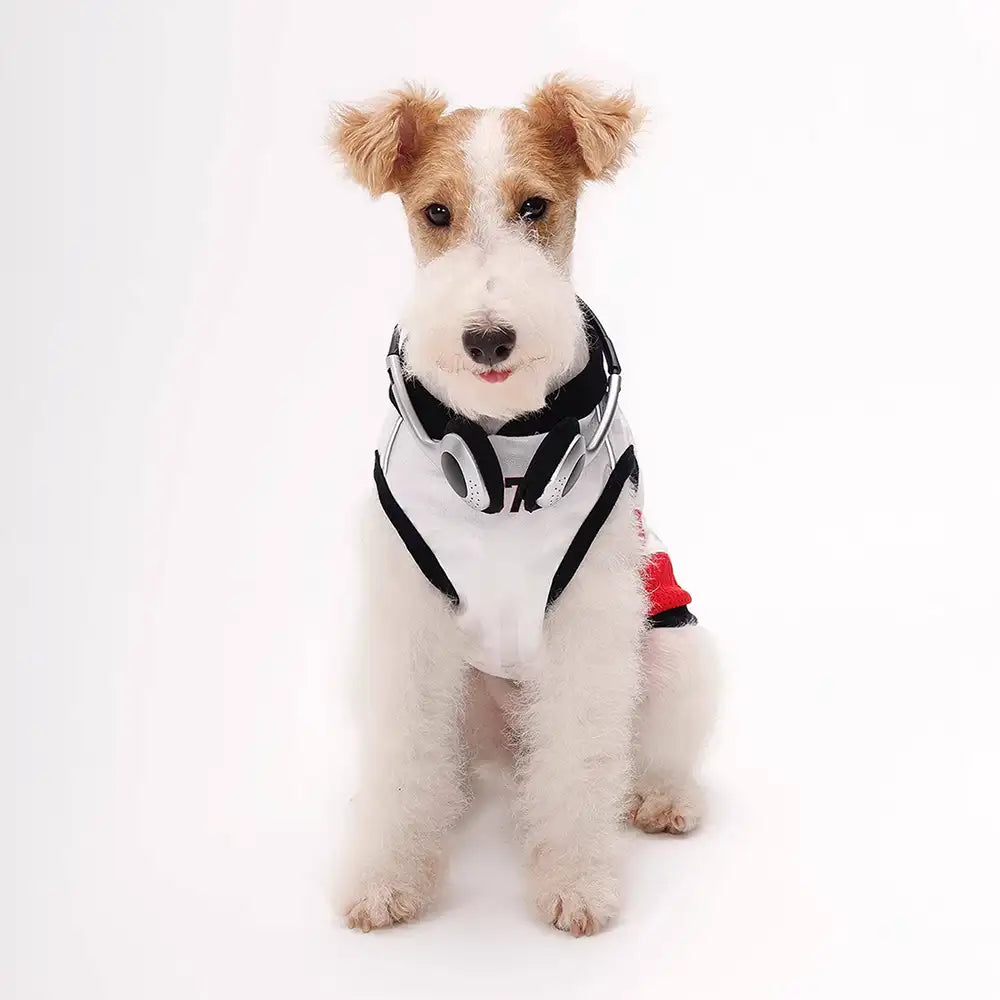 Stylish Color-Blocked Breathable Dog Vest