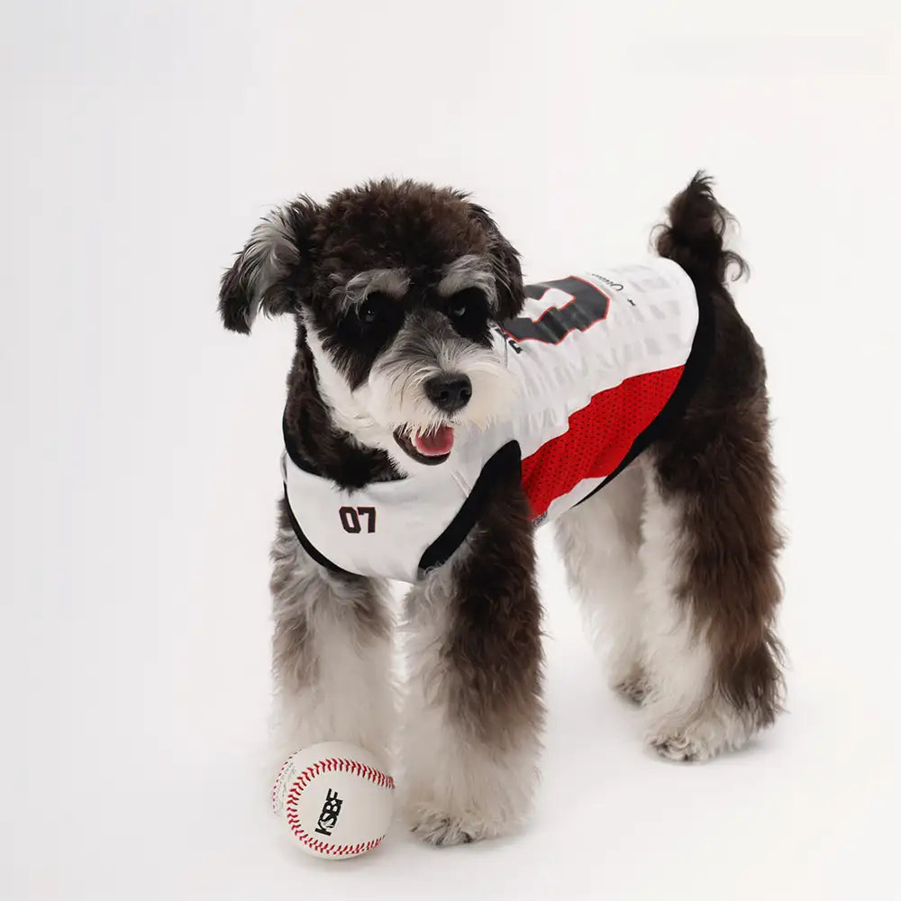 Stylish Color-Blocked Breathable Dog Vest