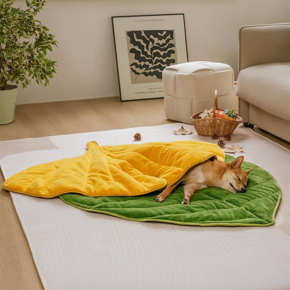 The Leaf Collector - Plush Leaf-Shaped Washable Dog Mat