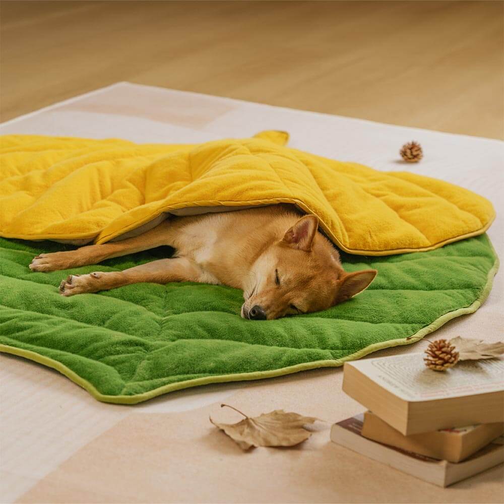 The Leaf Collector - Plush Leaf-Shaped Washable Dog Mat