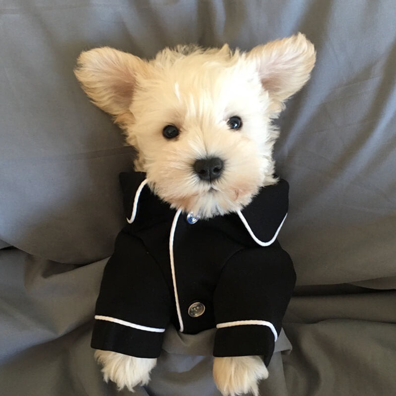 Thin & Comfortable Hair-resistant Matching Pyjamas for Dog and Owner