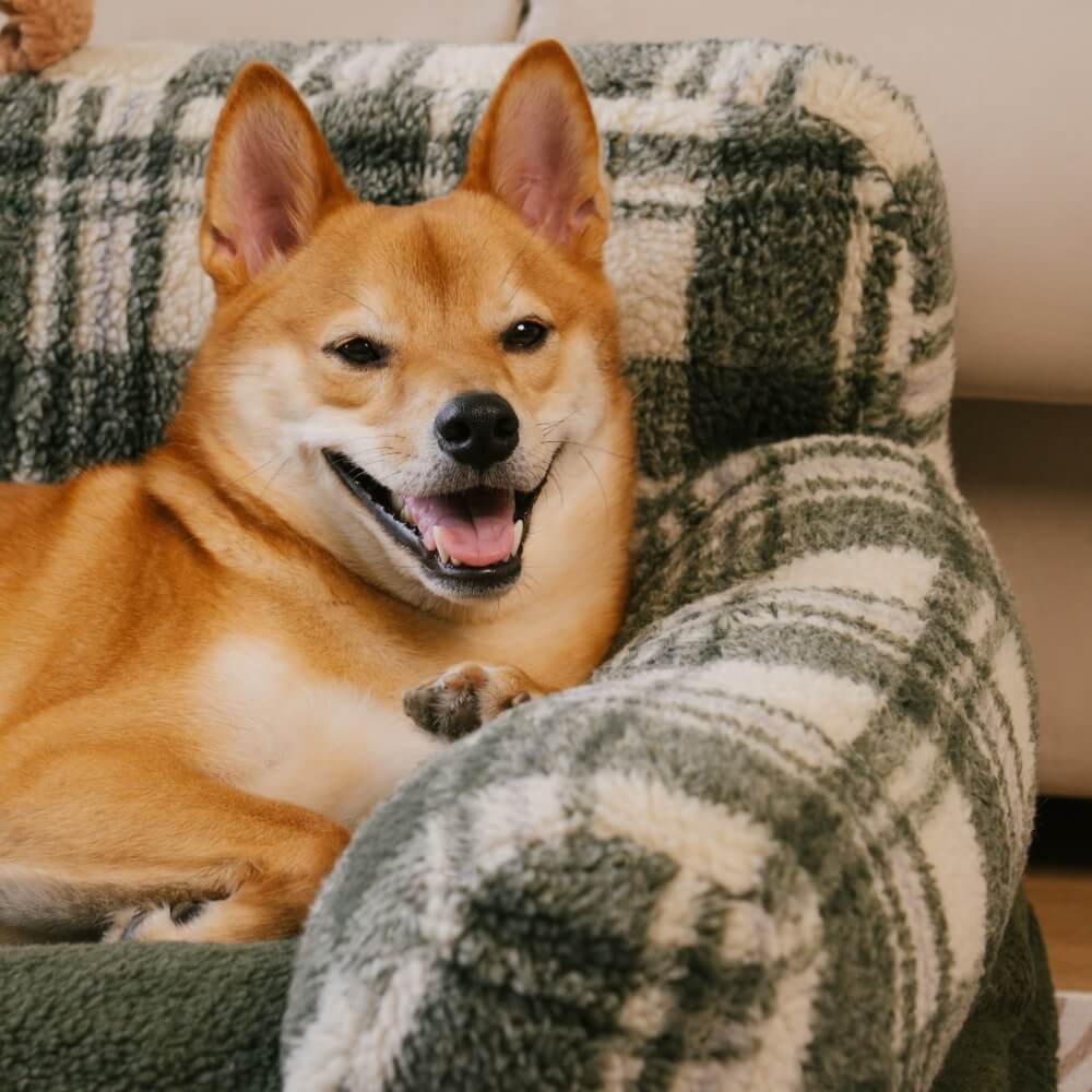 Vintage Chequered Washable Calming Dog & Cat Sofa Bed