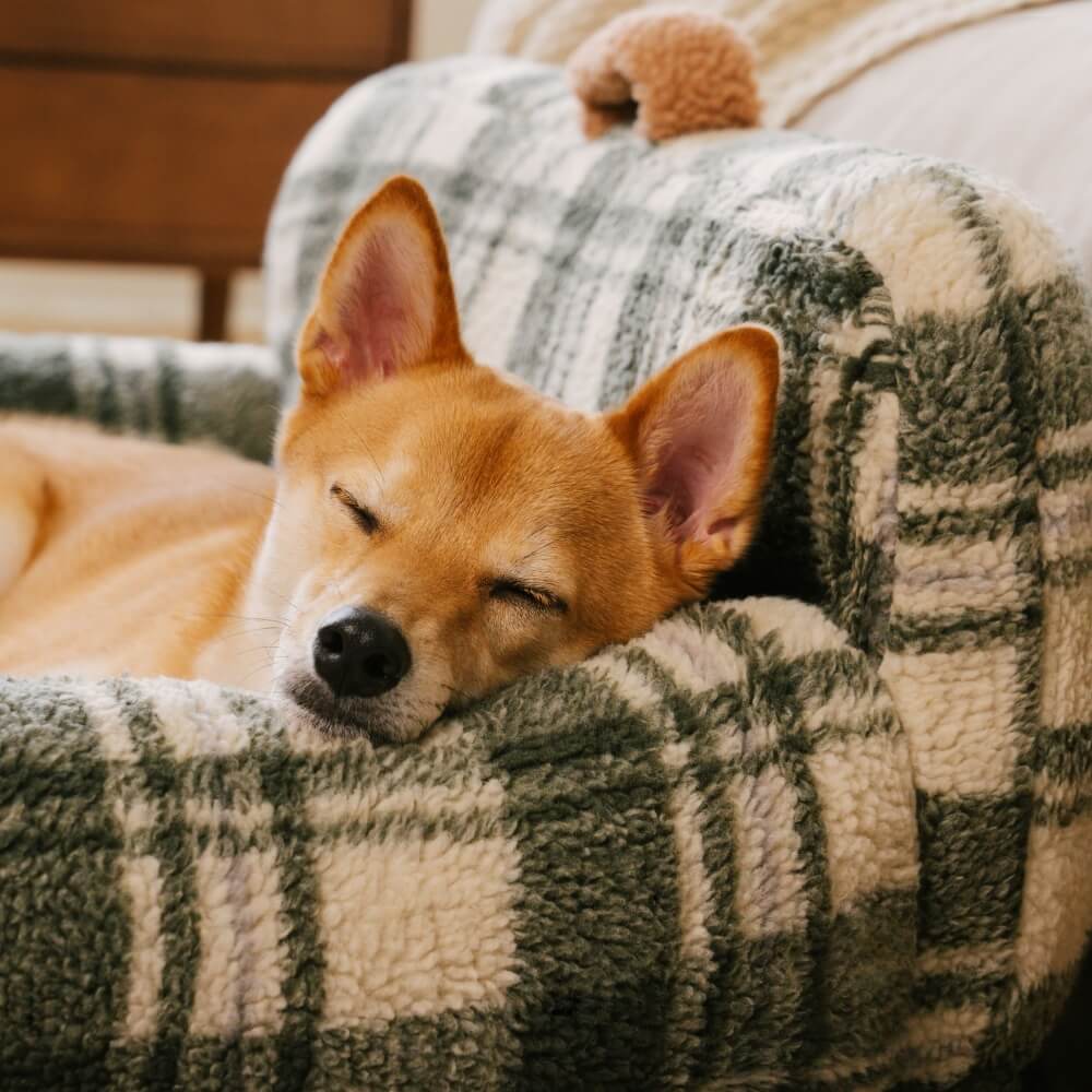 Vintage Chequered Washable Calming Dog & Cat Sofa Bed
