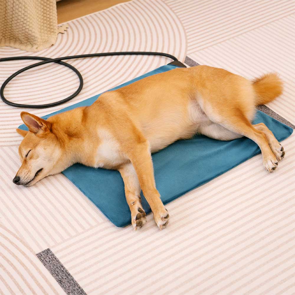 Waterproof&Chew proof Electrical Pet Heated Pad - Safe Warmth