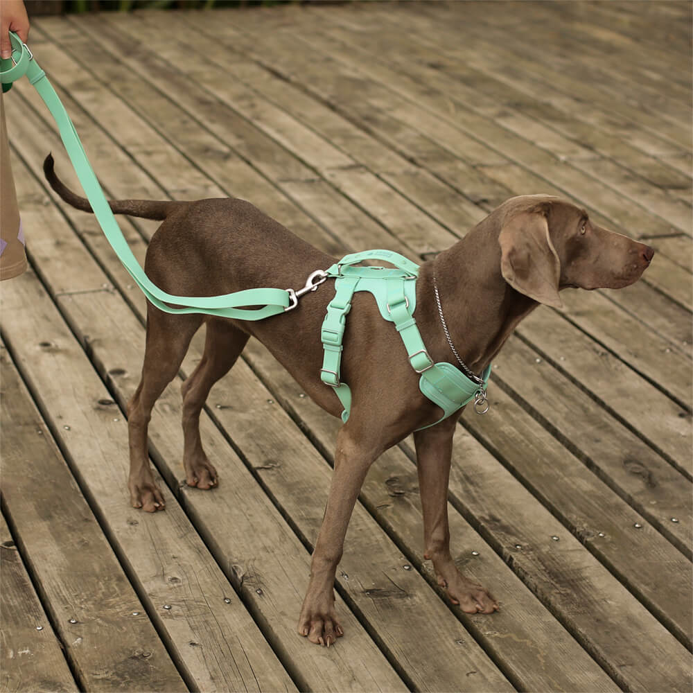 Gummy Cool Dog Accessories Walk Set - FUNNYFUZZY