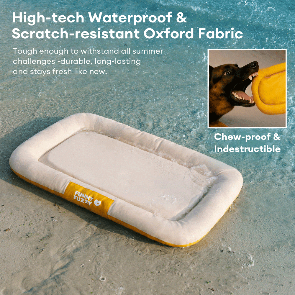 Waterproof & Chew-proof Memory Foam Orthopedic Dog Mat for Crate