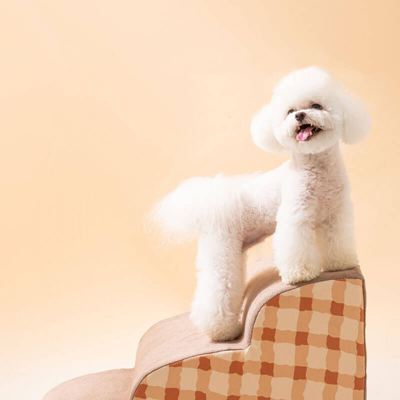 Plain Pattern Pet Climbing Ladder Removable Dog Steps