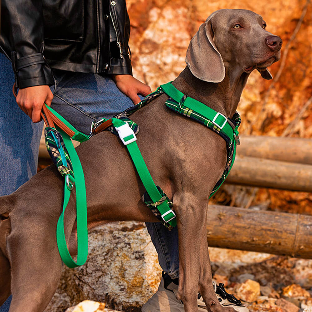 Secure Anti-Pull Large Dog Harness and Lead Walking Set with Walk Bag