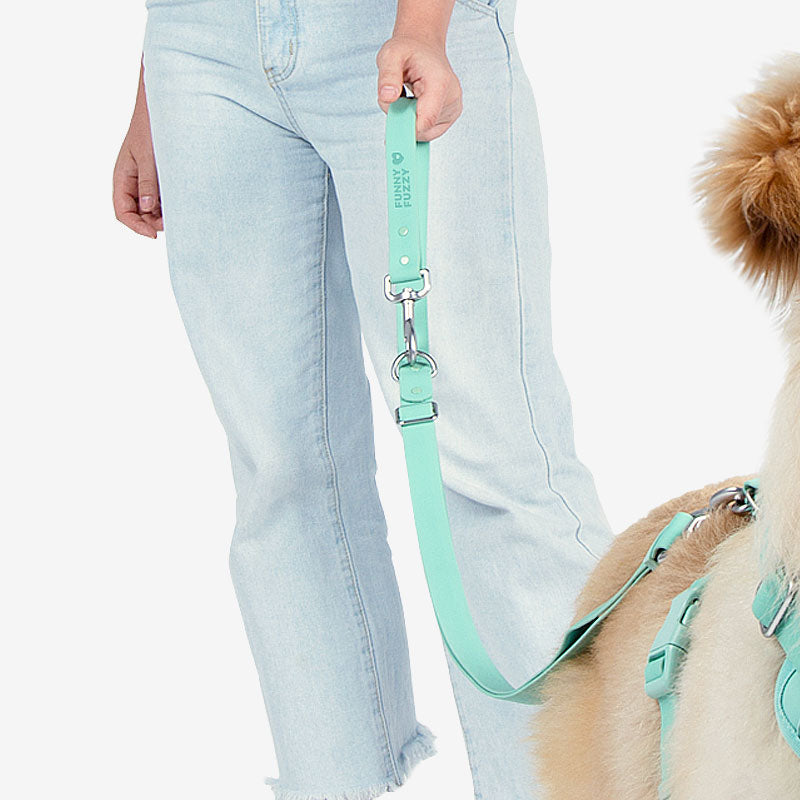 Gummy Cool Dog Accessories Walk Set - FUNNYFUZZY