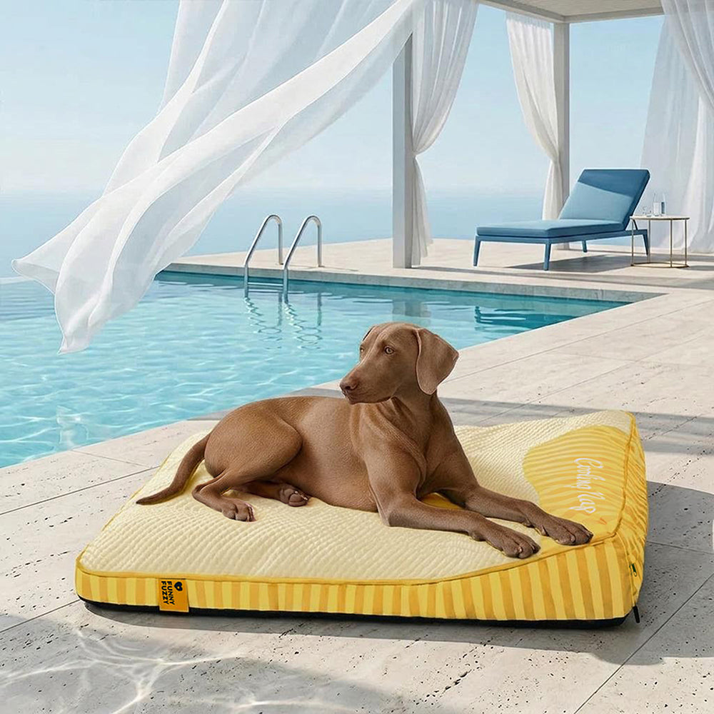 Extra Large Cooling Washable Rectangle Orthopaedic Dog Bed - Cooling Nap