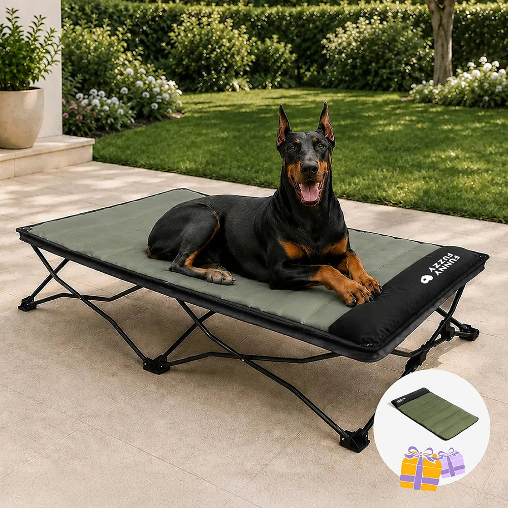 Foldable Elevated Dog Bed With Waterproof Mat-Urban Roaming