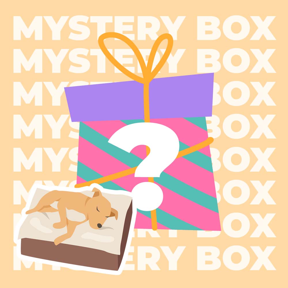 Mystery Box - Premium Pet Mat- Random - 1pc