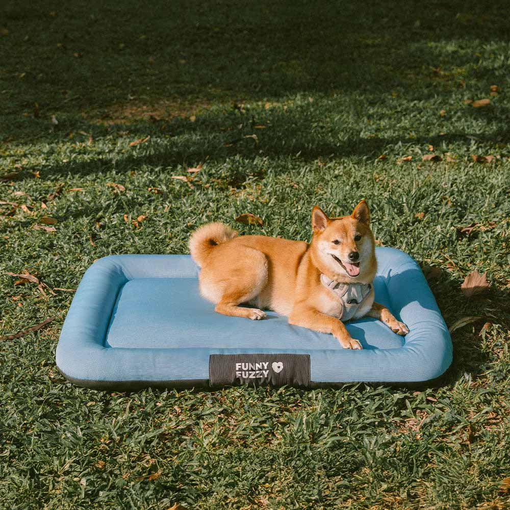 Waterproof & Chew-proof Memory Foam Orthopedic Dog Mat for Crate