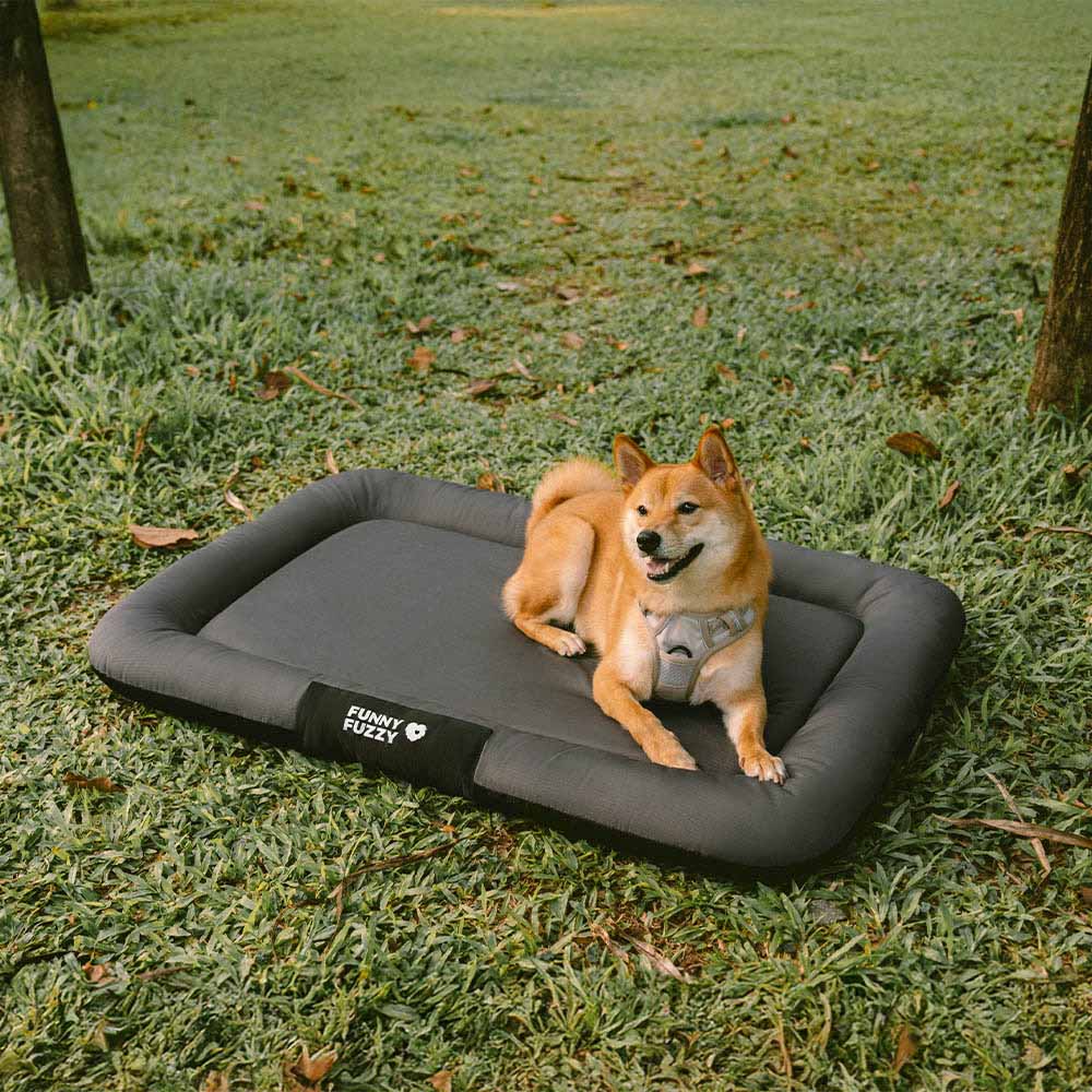 Waterproof & Chew-proof Memory Foam Orthopedic Dog Mat for Crate