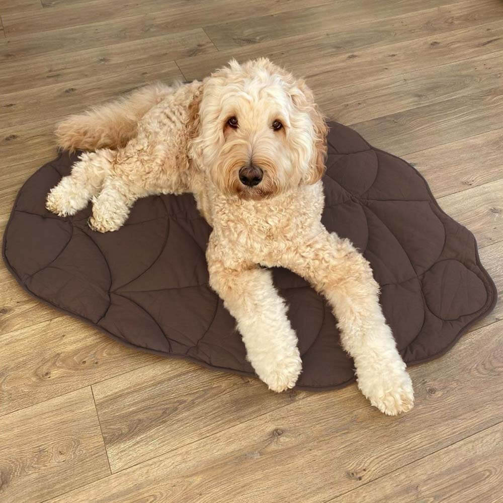 Calming Dog Blanket - Leaf Shape