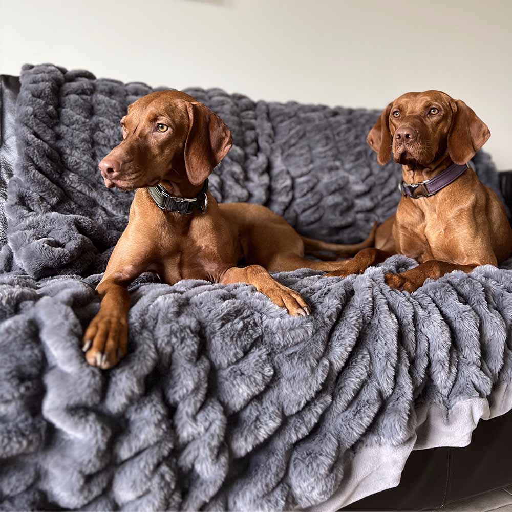 Super Soft Faux Fur & Velvet Throw Blanket