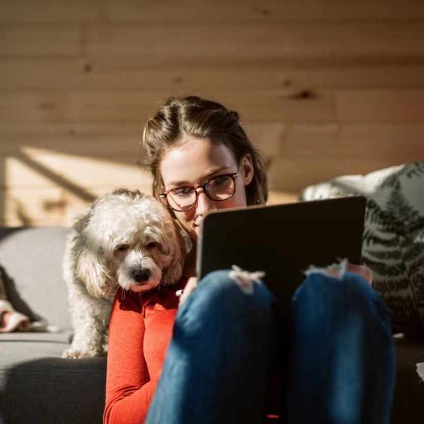 5 Things You Need to Know About the Dog Snuffle Mat