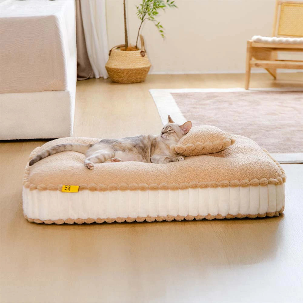 Black Friday Cat Products UK | Save Big on Beds, Toys & More