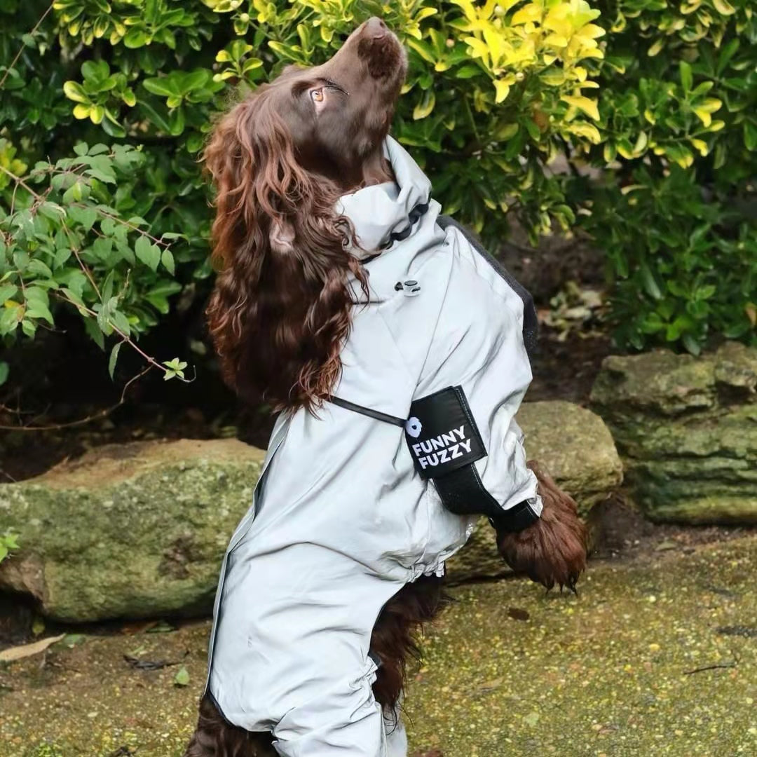 Dog relieves overwork: Signs your dog is getting too much exercise