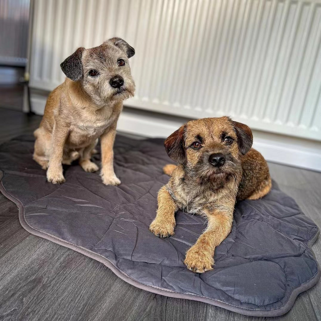 5 Ways You Can Keep Your Pup Happy and Healthy