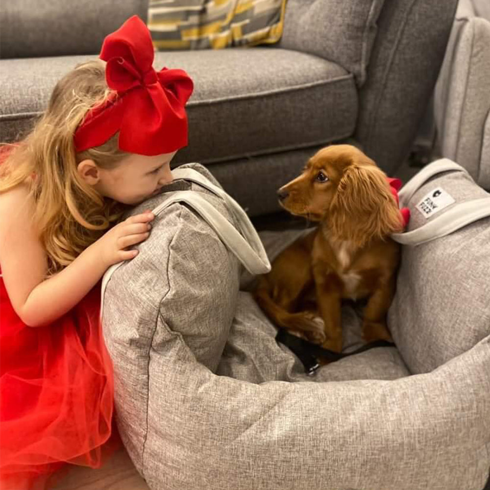 How To Celebrate National Love Your Pet Day?