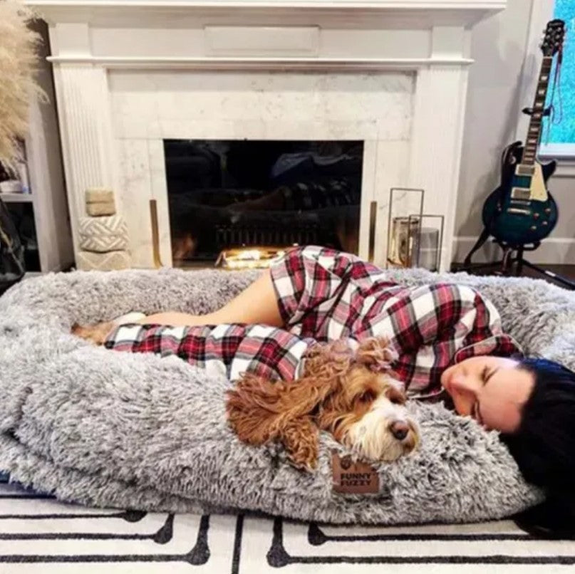 Getting an Emotional Support Animal in the UK: Requirements & Benefits