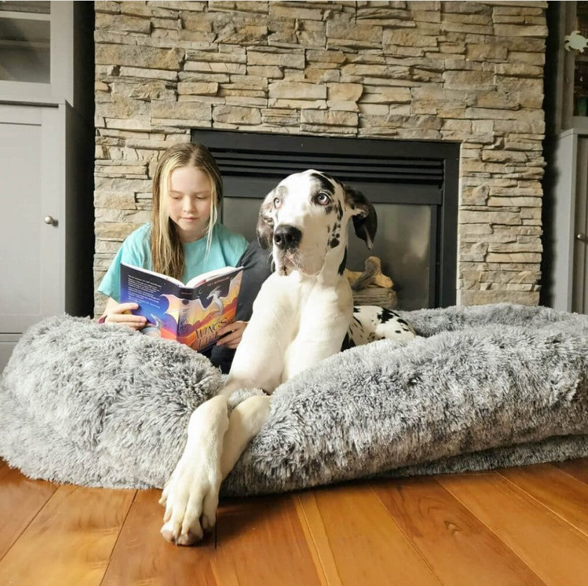 Are Human-Dog Beds Worth the Investment for Pet Owners?