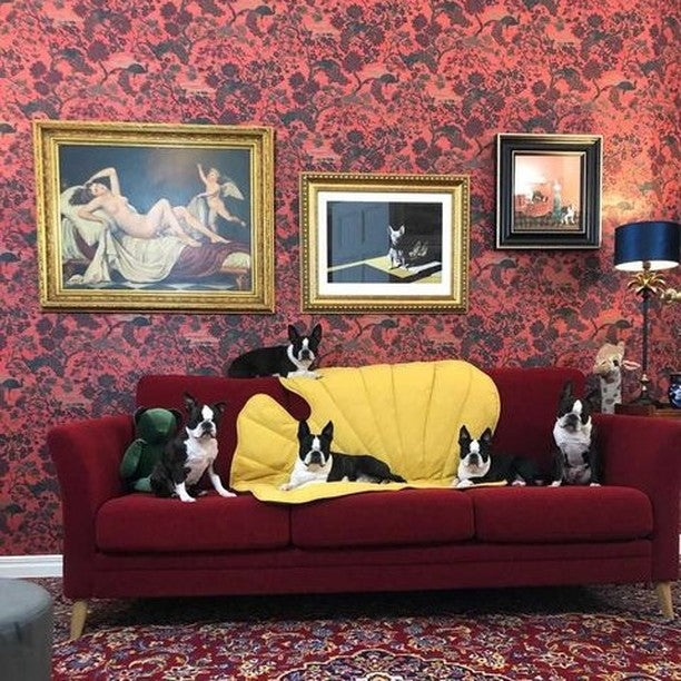 Puppy Love ~ National Puppy Day