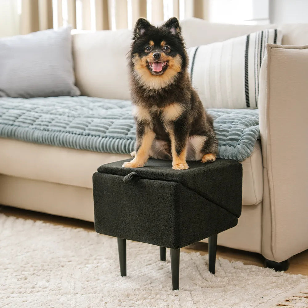 How to Stop Dog Barking