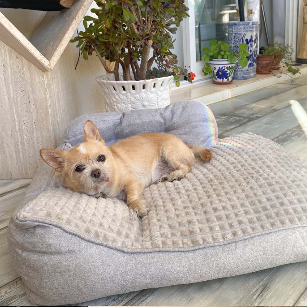Black Friday Dog Beds UK: Orthopedic, Calming & Washable Picks
