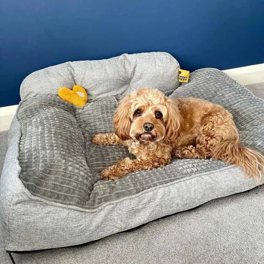 How to Wash a Stinky Dog Bed: Washing Dog Bed Guide