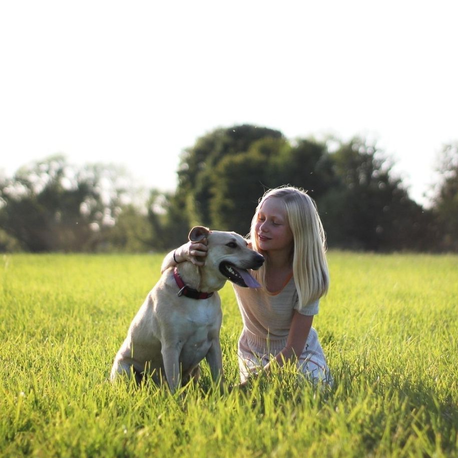 What Are the Best Dog Breeds for Families in the UK