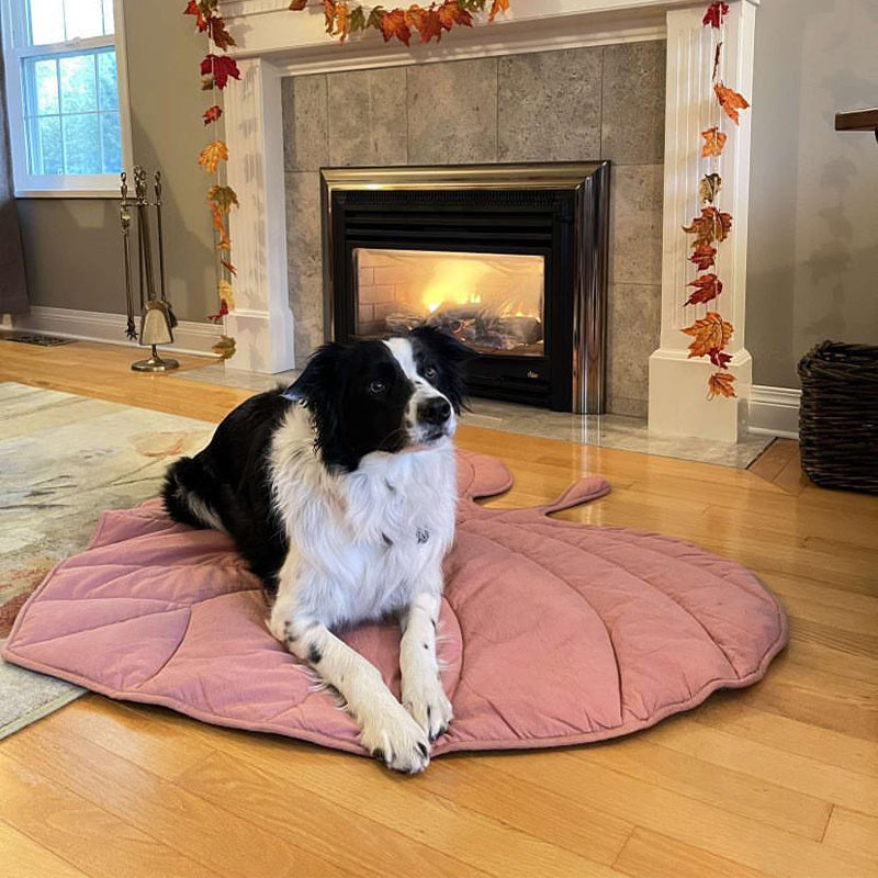 Black Friday Dog Blankets & Mats to Protect Your Sofa