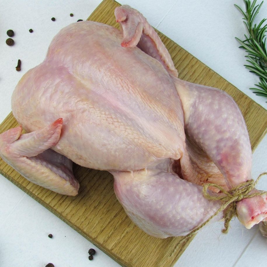 Can Dogs Eat Raw Chicken