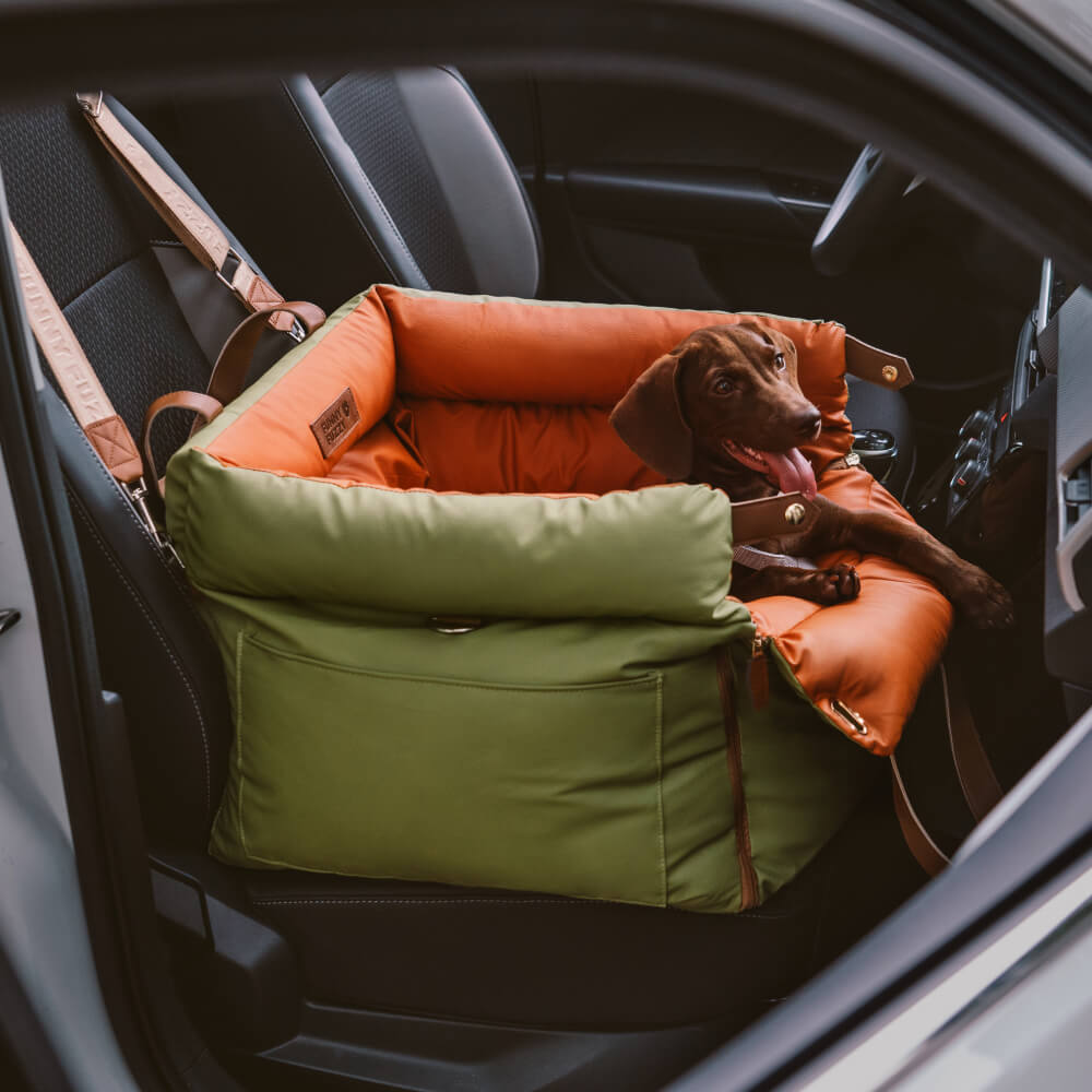 Dog Car Seat: Smart Safety for Pets