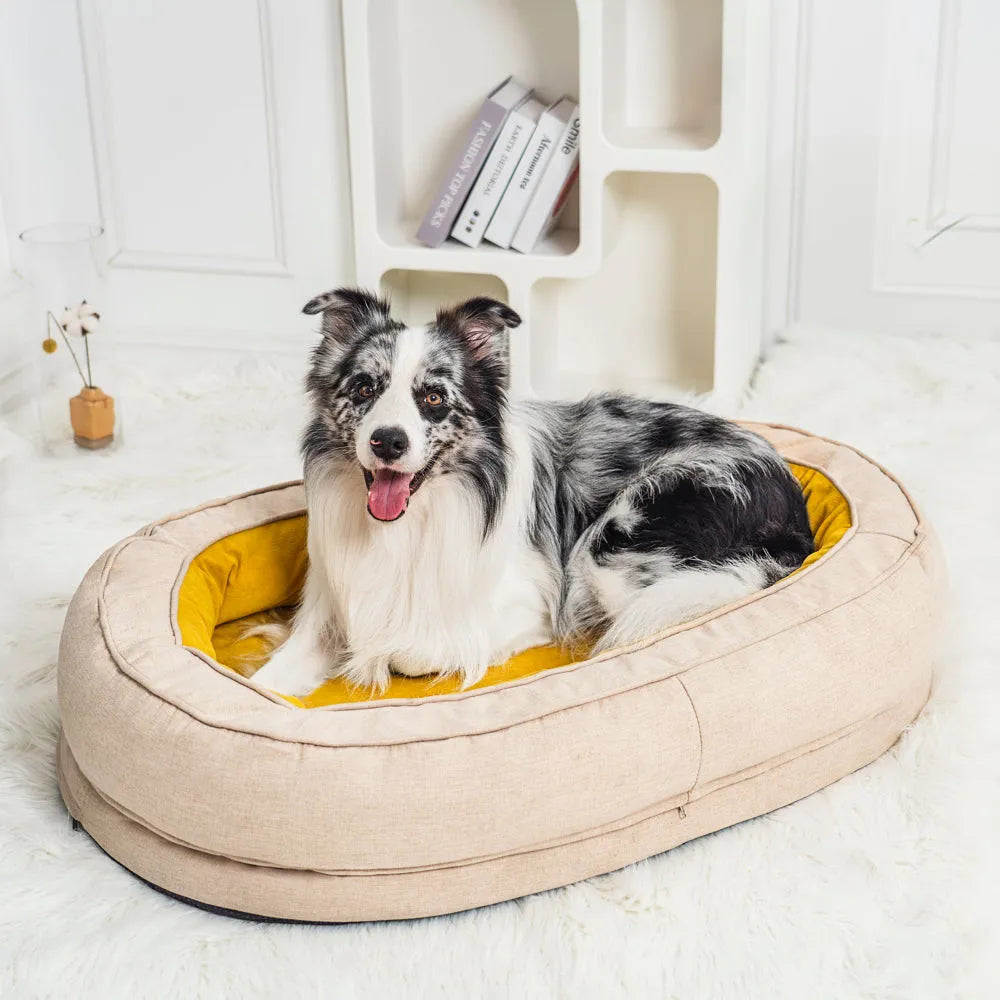 Choosing the Best Dog Beds: Assessing Durability, Washability and More