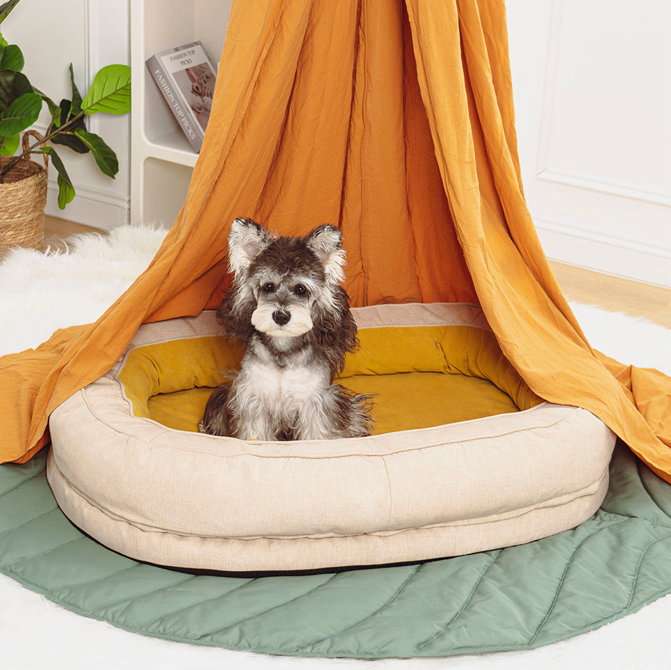 Black Friday Cat Products – Save Big on Beds, Toys and More